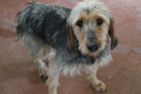 Malva ha trovato casa!